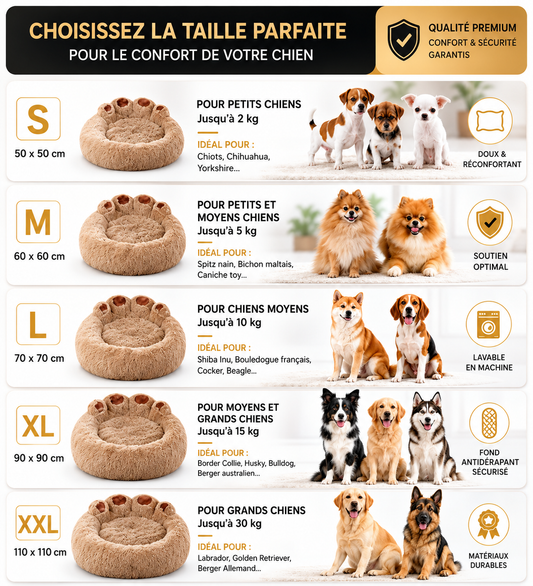 Comment choisir un coussin pour un Labrador ? Le guide complet