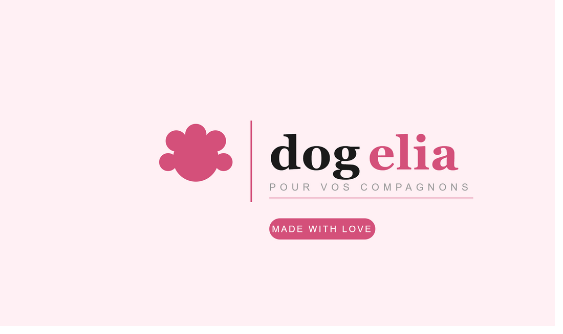 Comment laver un coussin pour chien et le garder propre plus longtemps ?