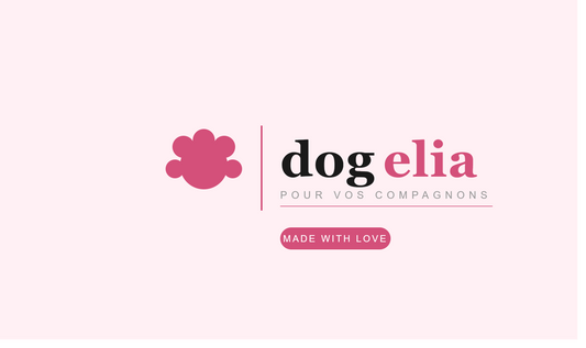 Mon chien préfère le canapé à son panier : que faire ?